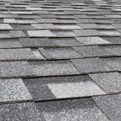shingle roof